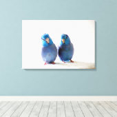 Blauwe Vogels Pacific Parrotlet Paar Verpakt Canva Canvas Afdruk (Insitu (Houten vloer))