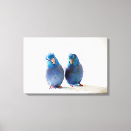 Blauwe Vogels Pacific Parrotlet Paar Verpakt Canva Canvas Afdruk