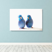 Blauwe Vogels Pacific Parrotlet Paar Verpakt Canva Canvas Afdruk (Insitu (Houten vloer))