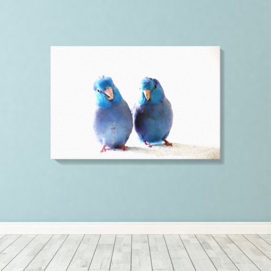 Blauwe Vogels Pacific Parrotlet Paar Verpakt Canva Canvas Afdruk (Insitu (Houten vloer))