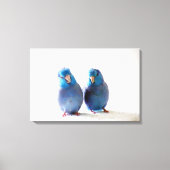 Blauwe Vogels Pacific Parrotlet Paar Verpakt Canva Canvas Afdruk (Voorkant)