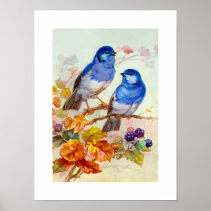 Blauwe vogels poster
