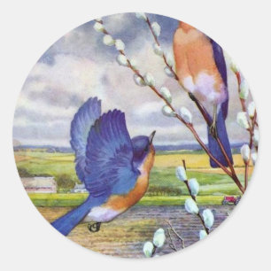 Blauwe vogels ronde sticker