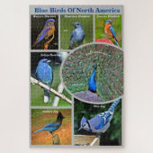 Blauwe vogels van Noord-Amerika Educatieve 7 soort Legpuzzel (Verticaal)