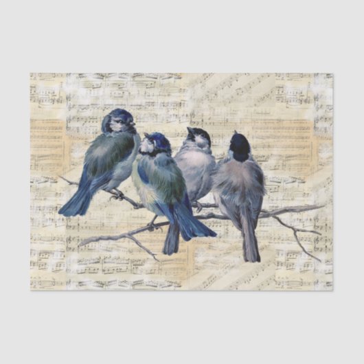 Blauwe vogels -  vel muziekpapier tissuepapier (Voorkant)