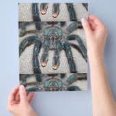 blauwe vogelspin flyer (Hand)
