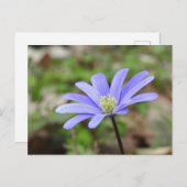 Blauwe voorruit briefkaart (Voorkant / Achterkant)