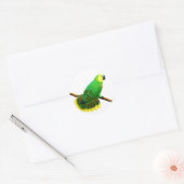 Blauwe voorzijde Amazon Parrot Sticker (Envelop)