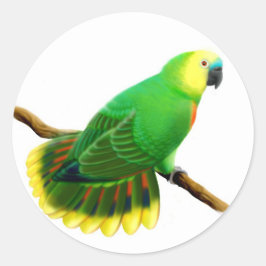 Blauwe voorzijde Amazon Parrot Sticker