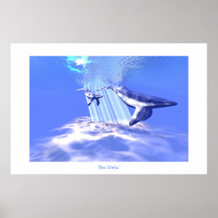 BLAUWE WALEN AFDRUKKEN POSTER