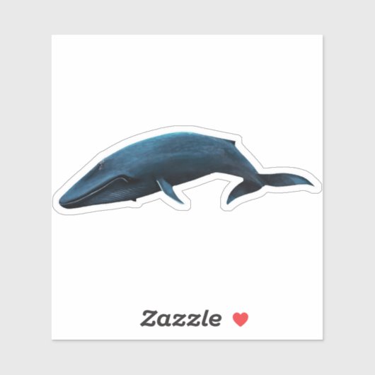 BLAUWE WALEN STICKER (Vel)