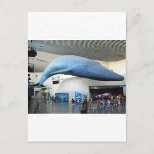 Blauwe walvis briefkaart