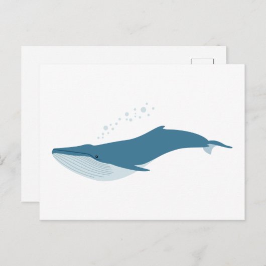 Blauwe walvis briefkaart (Voorkant / Achterkant)