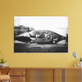 Blauwe walvis in Alaska-foto Canvas Afdruk (Insitu (Woonkamer))