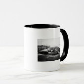 Blauwe walvis in Alaska-foto Mok (Voorkant rechts)