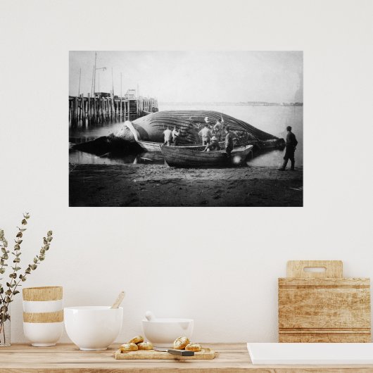 Blauwe walvis in Alaska-foto Poster (Keuken)