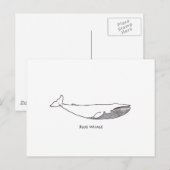 Blauwe walvis (lijnkunst) briefkaart (Voorkant / Achterkant)