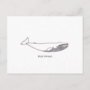 Blauwe walvis (lijnkunst) briefkaart