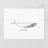 Blauwe walvis (lijnkunst) briefkaart (Voorkant)