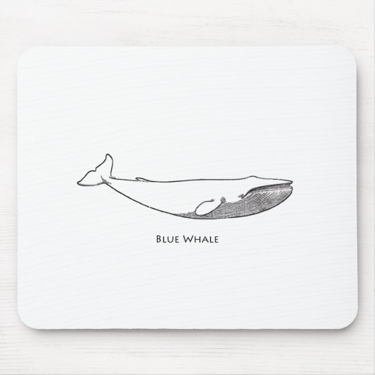 Blauwe walvis (lijnkunst) muismat (Voorkant)