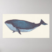 Blauwe walvis poster (Voorkant)