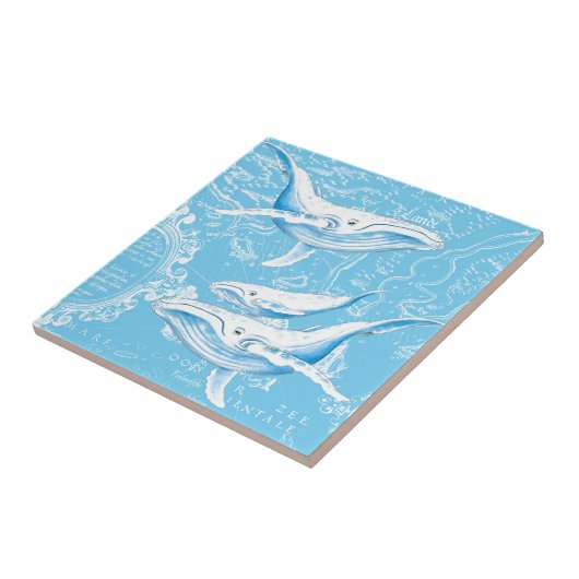 Blauwe walvissen tegeltje (Zijkant)