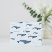Blauwe walvissen zwemmen in de oceaan briefkaart (Staand voorkant)