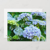 Blauwe waterdichte bloemen Tuin briefkaarten Botan (Voorkant / Achterkant)