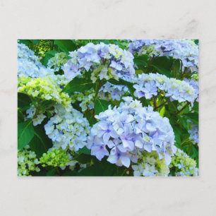 Blauwe waterdichte bloemen Tuin briefkaarten Botan