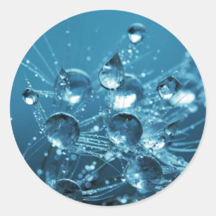 Blauwe waterdruppels ronde sticker