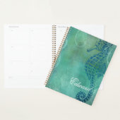 Blauwe wateren, zeepaard en Vlaanderen Planner (Display)