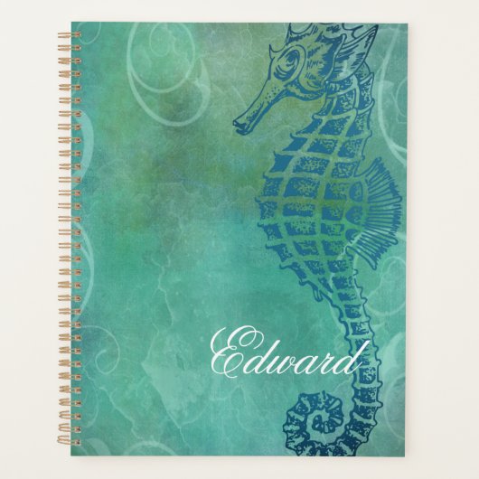 Blauwe wateren, zeepaard en Vlaanderen Planner (Voorkant)