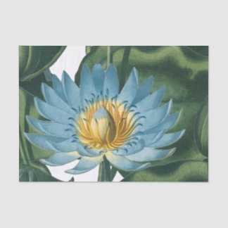 Blauwe waterloperventilator   tissuepapier