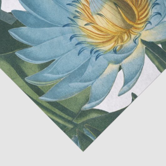 Blauwe waterloperventilator   tissuepapier (Detail)