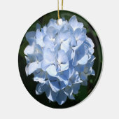 Blauwe waterschildpad keramisch ornament (Links)