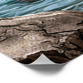 🌊 Blauwe Waterval Bloeiende Bloemen Natuur Sereni Poster (Hoek)