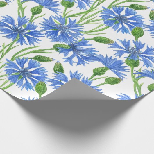 Blauwe waterverf cornbloemen, wilde bloemen op wit cadeaupapier (Hoek)