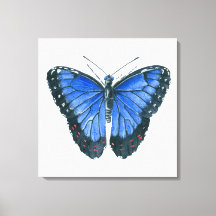 Blauwe waterverf van de Morpho-vlinder