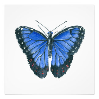 Blauwe waterverf van de Morpho-vlinder Foto Afdruk
