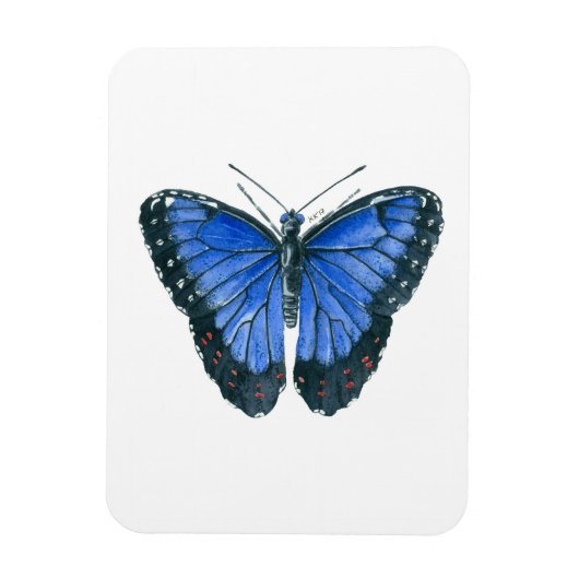 Blauwe waterverf van de Morpho-vlinder Magneet (Verticaal)