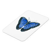 Blauwe waterverf van de Morpho-vlinder Magneet (Linkerzijde)