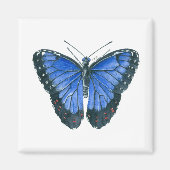 Blauwe waterverf van de Morpho-vlinder Magneet (Voorkant)