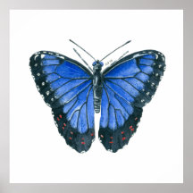 Blauwe waterverf van de Morpho-vlinder
