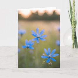 Blauwe Wildbloemen in het veld voor sympathie Kaart