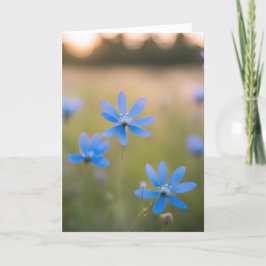 Blauwe Wildbloemen Sympathie Kaart