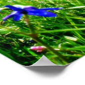 Blauwe wilde bloemen door bergpieken poster (Hoek)