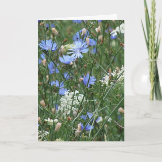Blauwe wilde bloemen kaart (Voorkant)