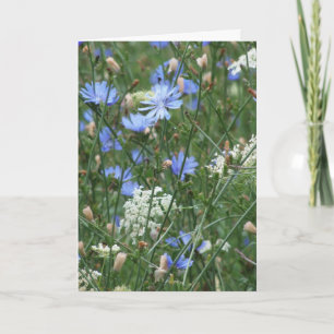 Blauwe wilde bloemen kaart