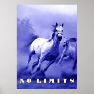 Blauwe wilde paarden Motivatie geen limitering Poster