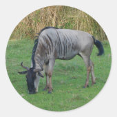 Blauwe Wildebeest #1 Sticker (Voorkant)